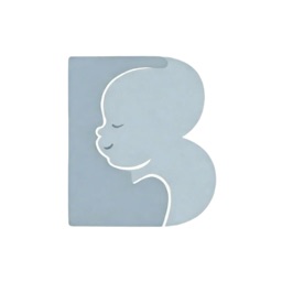 Easy2Baby App icon